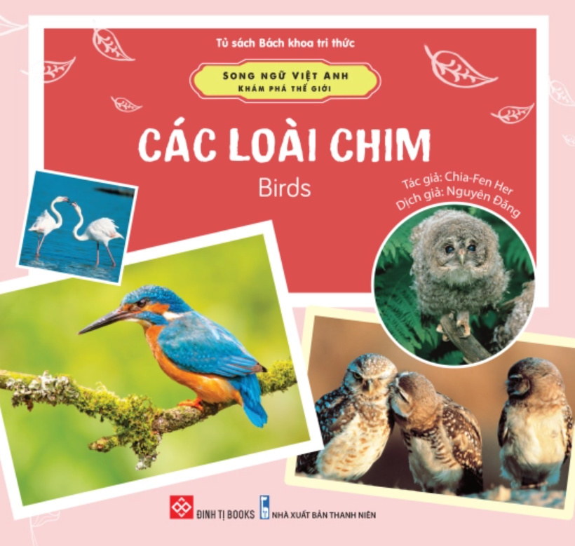 song ngu viet anh kham pha the gioi cac loai chim birds - Vinakitchen